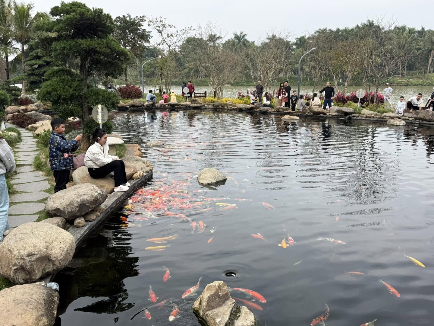 Swan Lake Onsen Ecopark biểu tượng bên Công Viên Hồ Thiên Nga 31 ho ca koi onsen ecopark 1