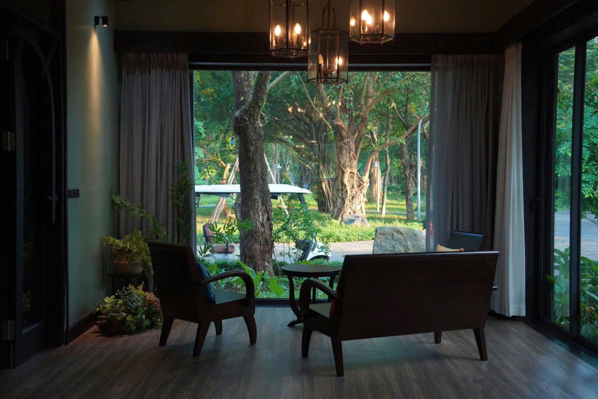 mimosa song lập phòng khách