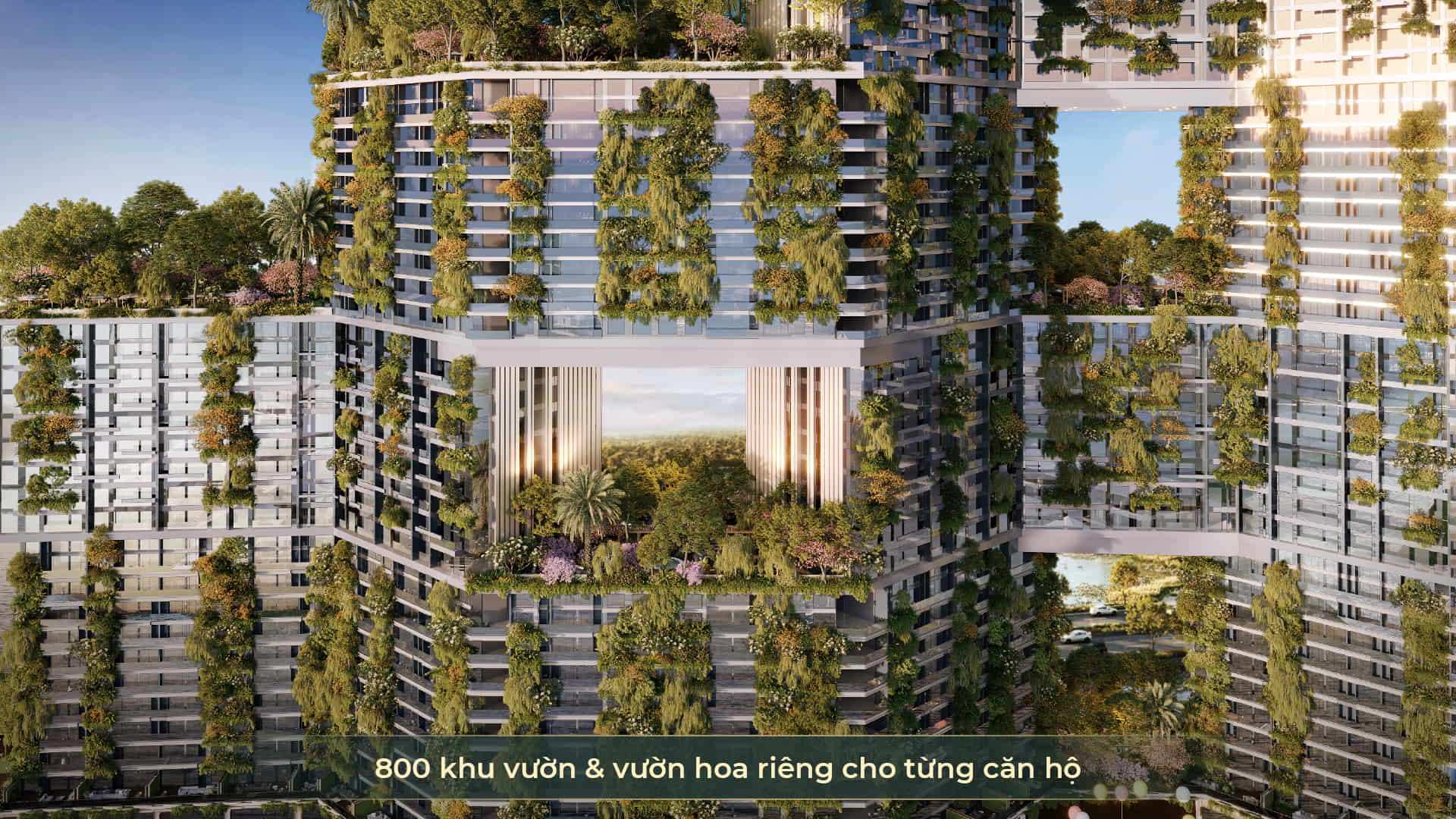 Chung cư Skyforest Ecopark - Vẽ thiên nhiên lên bầu trời 24 800 vuon tren cao