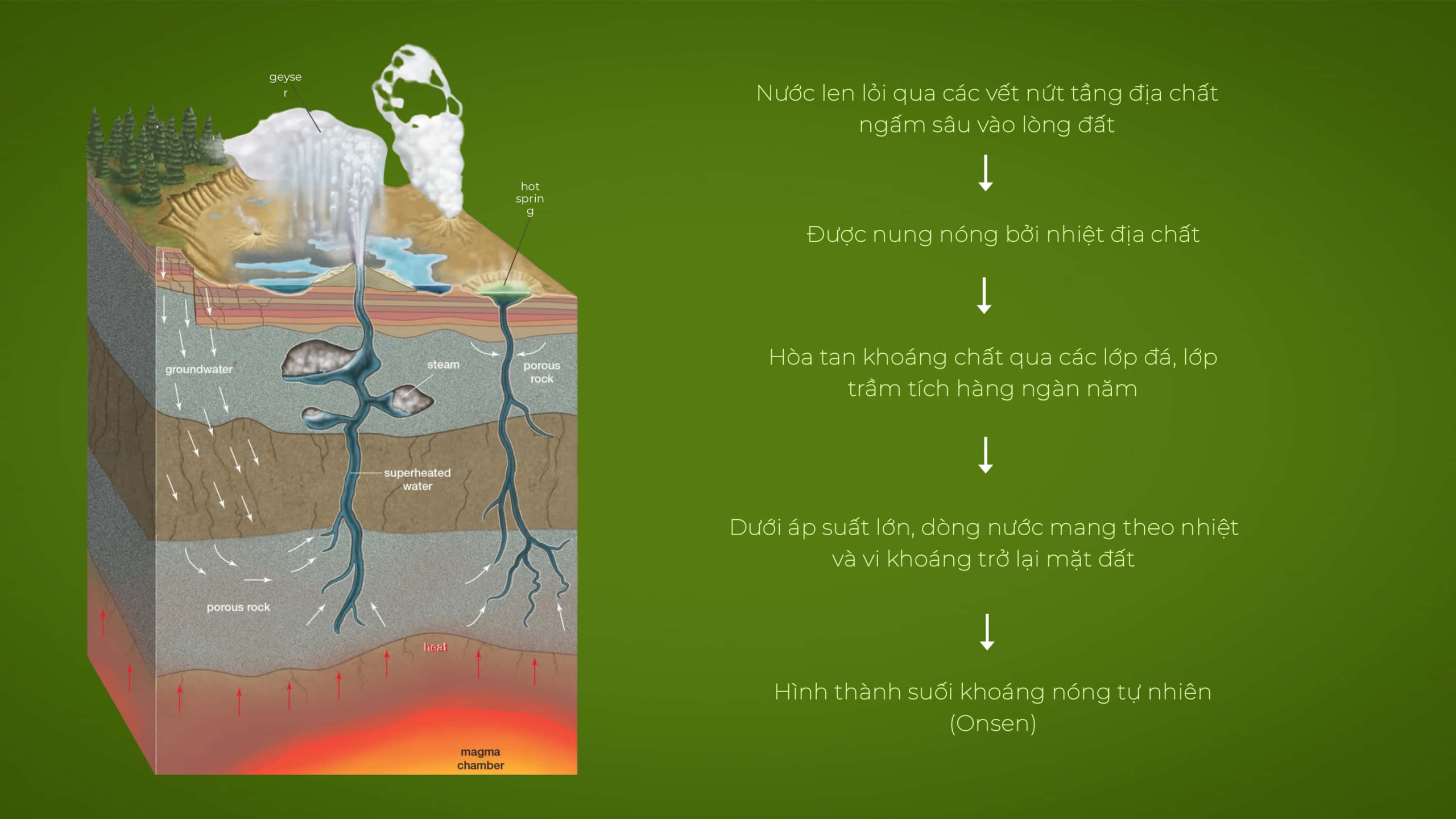 Phân tích công nghệ tắm khoáng nóng tại Forest Onsen Eco Retreat 3 cach tao ra dong khoang tu nhien scaled
