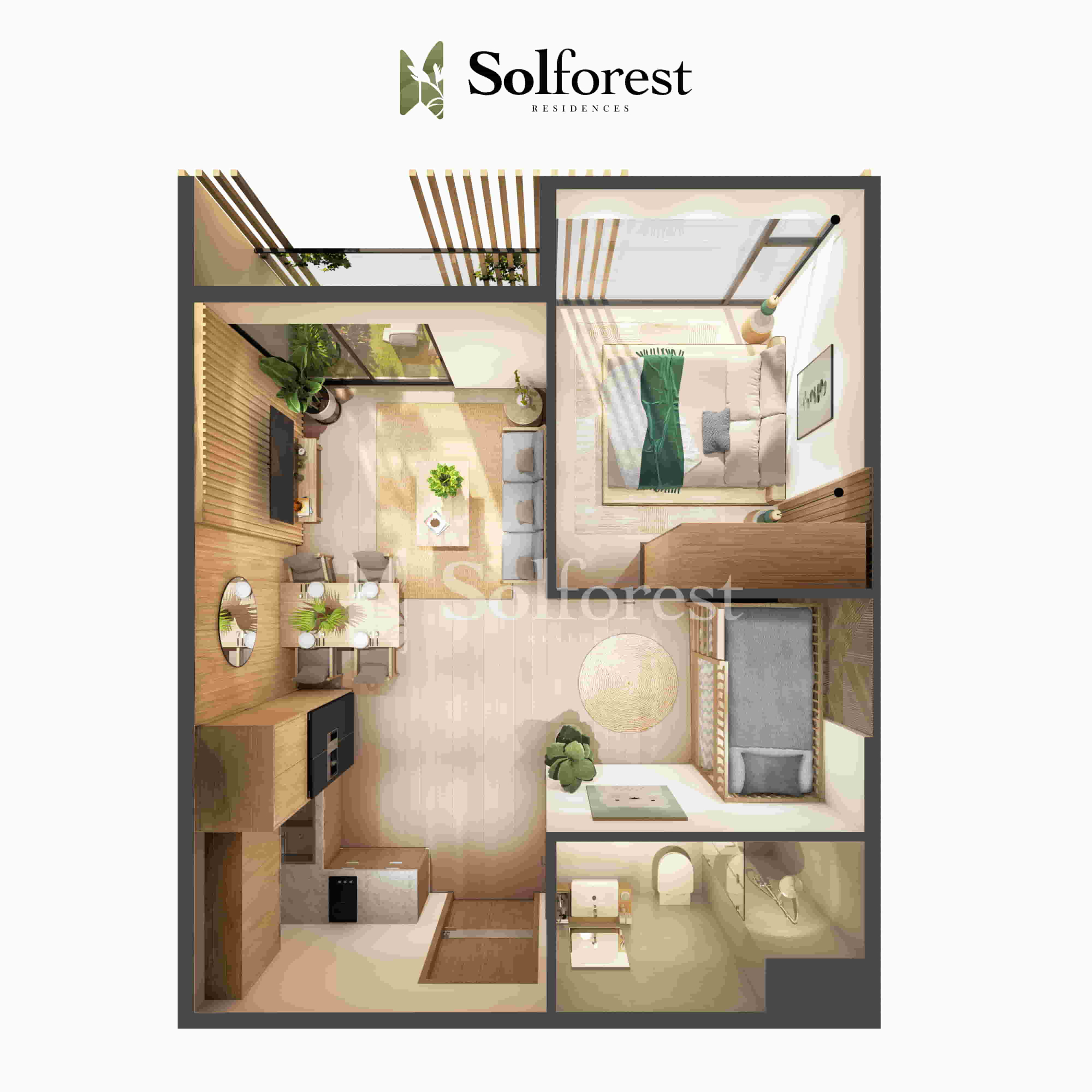 thiet ke 1 ngu sol forest scaled