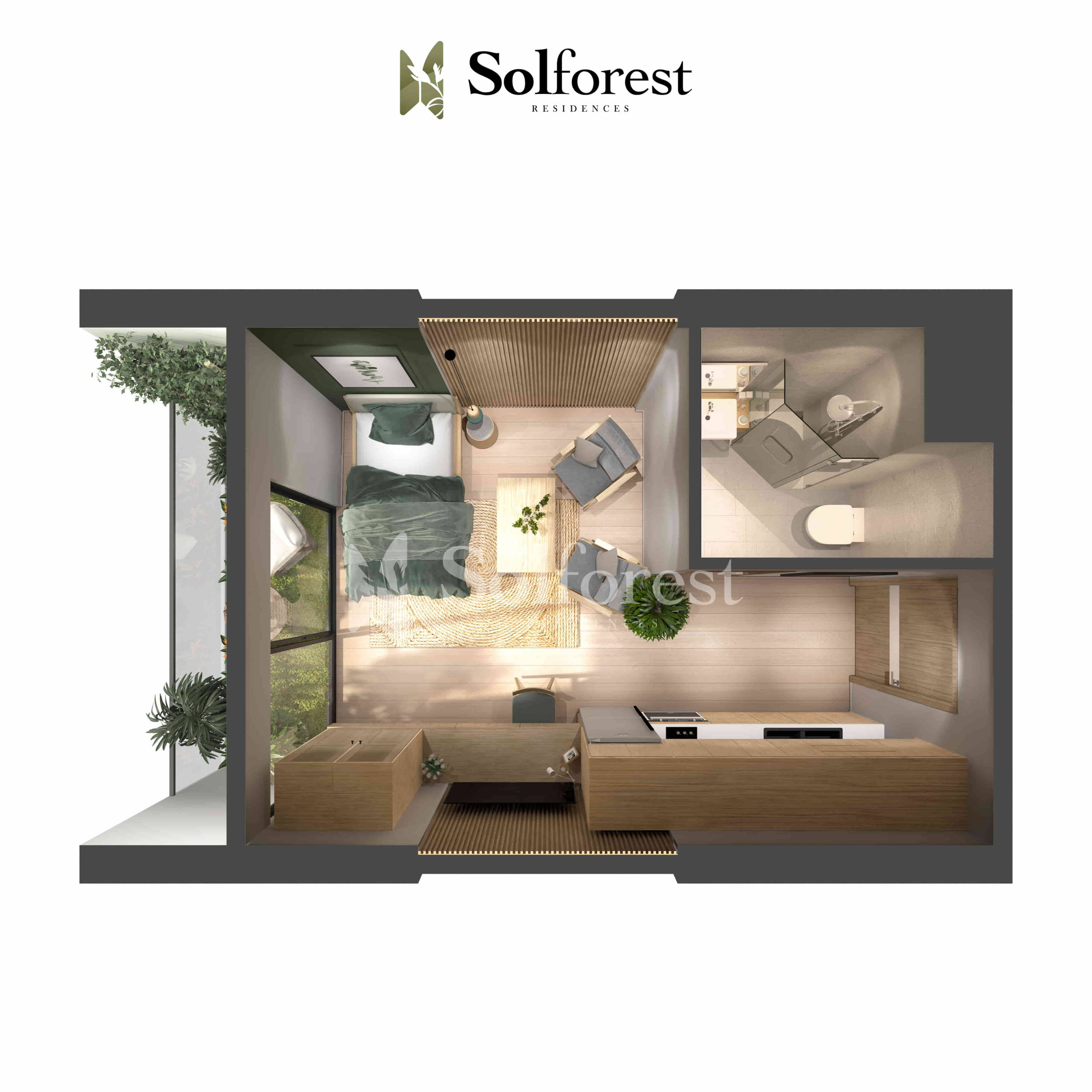 thiet ke studio solforest 29 m2 scaled