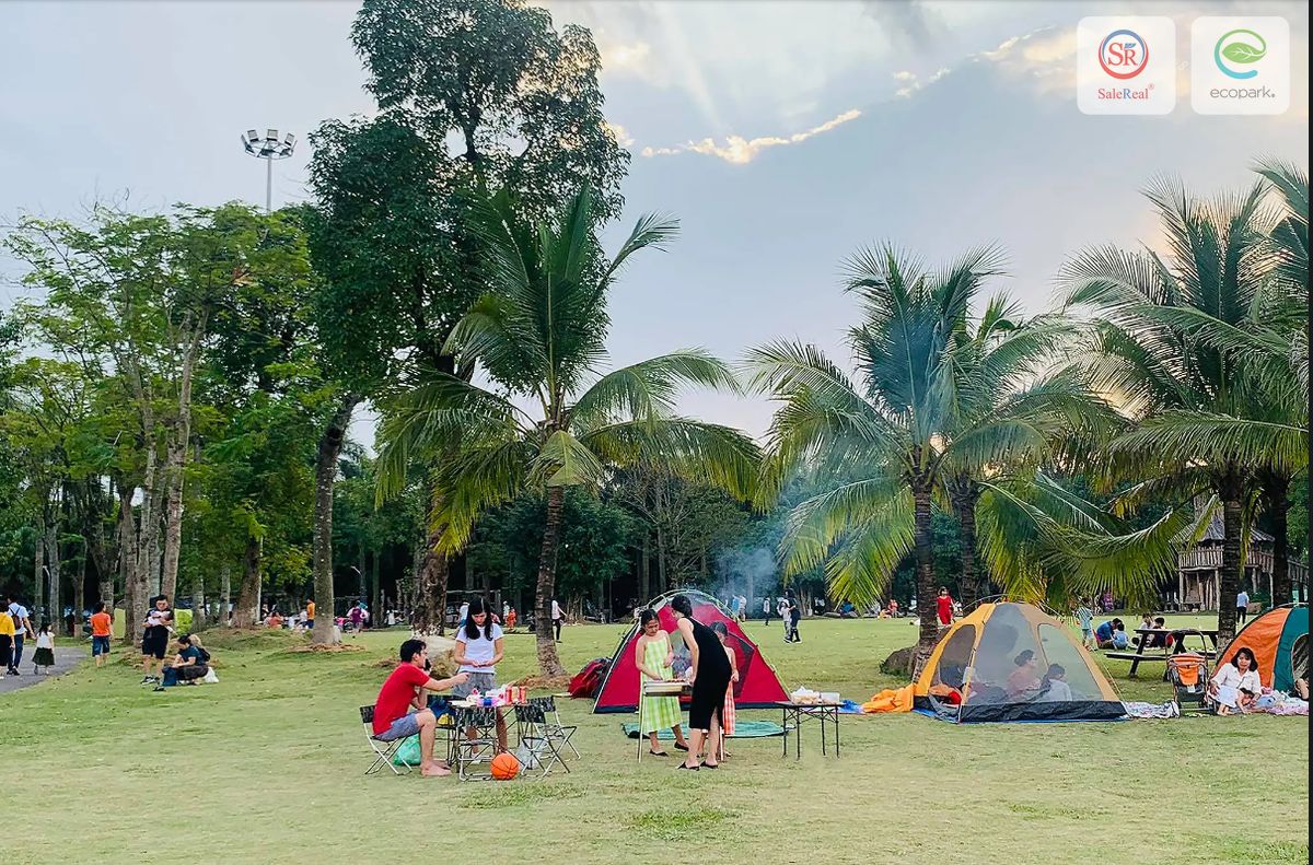 Công Viên Hồ Thiên Nga Ecopark Ăn Gì, Chơi 5 cam trai tai ho thien nga ecopark