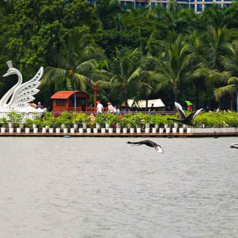 Công Viên Hồ Thiên Nga Ecopark Ăn Gì, Chơi