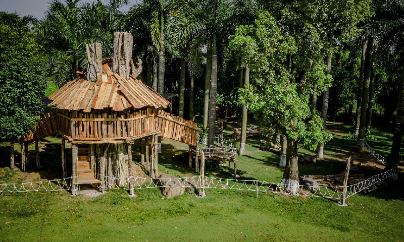Công Viên Hồ Thiên Nga Ecopark Ăn Gì, Chơi 6 nha go tai cong vien ho thien nga ecopark